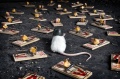 MouseTrapWarrior.jpg
